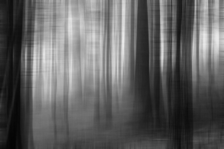 jakie-zaslony-wybrac-do-szarego-salonu-praktyczne-porady-na-2023-rok