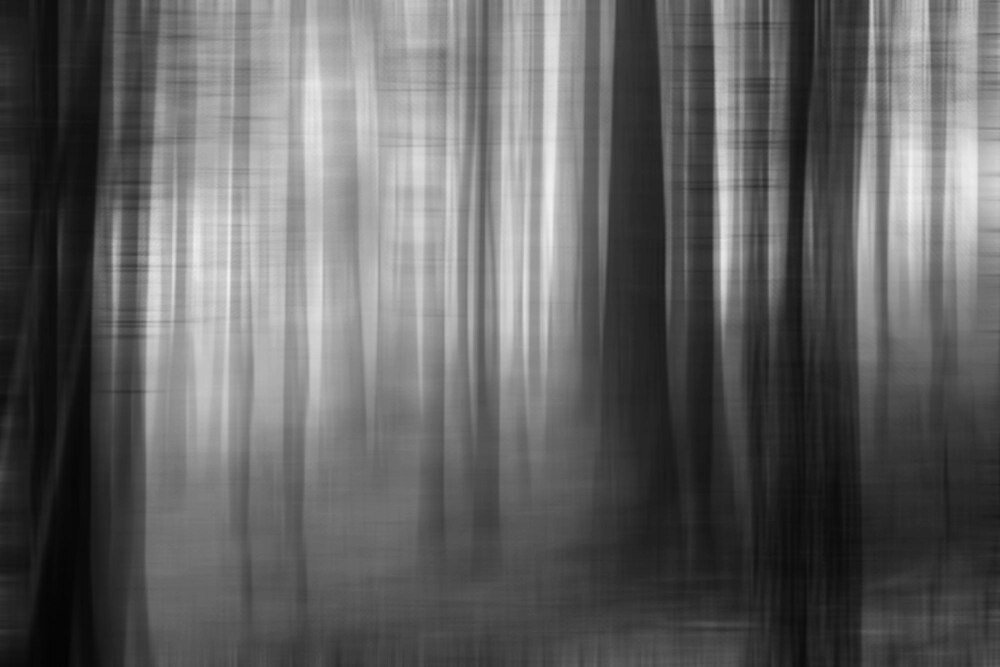 jakie-zaslony-wybrac-do-szarego-salonu-praktyczne-porady-na-2023-rok